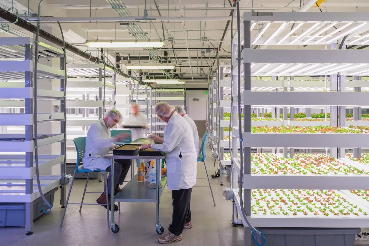 Meals on Wheels hydroponic grow room, Des Moines