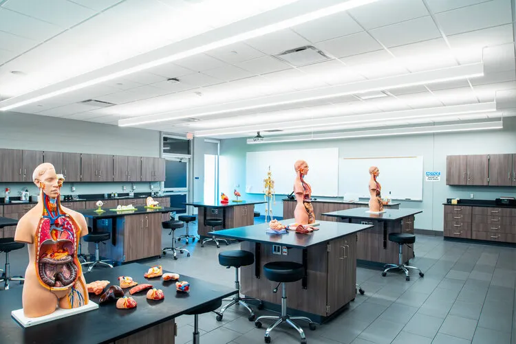 NIACC STEM laboratory with anatomy models